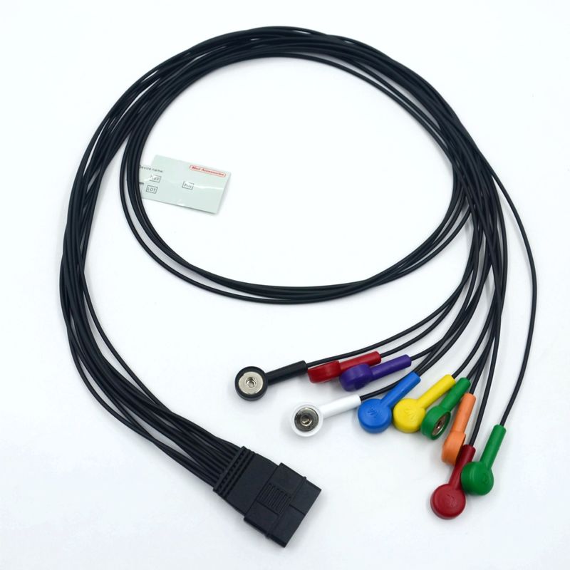 Compatibele Schiller 10 Lead ECG Patiëntkabel Schiller voor Schiller MS-12 Blauwe ECG-kabel