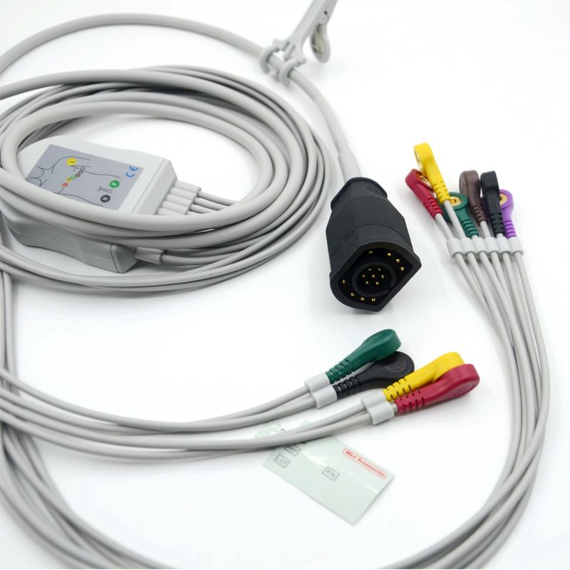 Compatibele Zoll 10 Leads Snap Type IEC Standard EKG kabel en draden