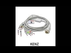 Multifunktioneel EKG-ECG-corders Medisch Praktisch Compatibel Drager Siemens